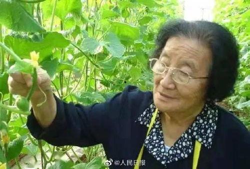 娱乐吃瓜酱中老年人,揭秘中老年人的生活乐趣与时代变迁