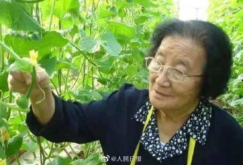 吃瓜娱乐如果星星不说话,揭秘“如果星星不说话”的神秘魅力