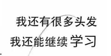 考研娱乐酱吃瓜,揭秘考研党们的“吃瓜”日常