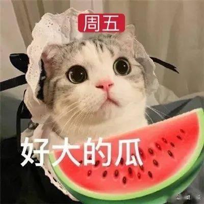 娱乐吃瓜有趣名字大全霸气,揭秘娱乐圈趣味名字背后的故事
