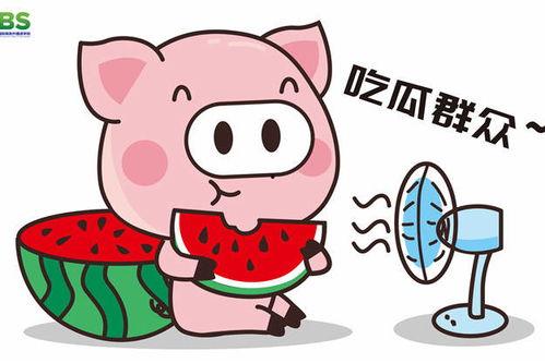 娱乐吃瓜英文,Entertainment Gossips: The Latest Buzz in the Celebrity World