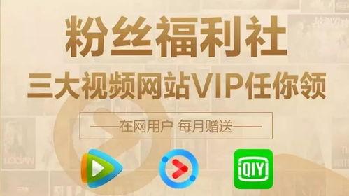 娱乐吃瓜不站队,吃瓜群众不站队，揭秘幕后真相