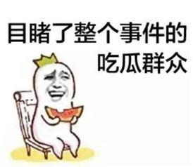娱乐圈吃瓜群众心态崩溃,吃瓜群众心态崩溃，揭秘幕后真相