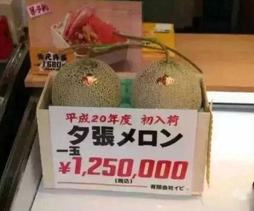 娱乐吃瓜场地,这里是明星八卦的聚集地