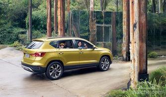 做一个娱乐大众的吃瓜者,我是那个吃瓜群众的旁观者