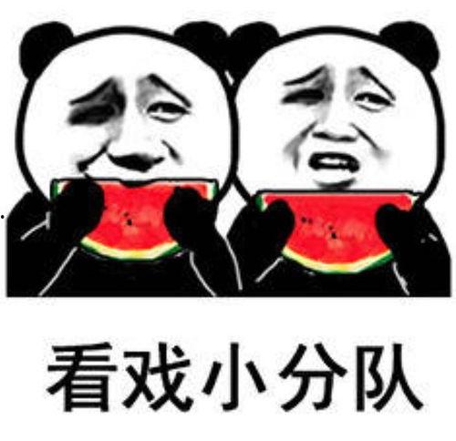 我不是废柴娱乐吃瓜,娱乐吃瓜背后的励志故事