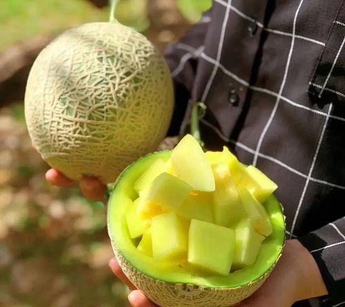 吃瓜娱乐大荟萃,盘点娱乐圈最新热点事件