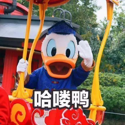 娱乐带你吃瓜,带你吃瓜，一网打尽明星幕后故事