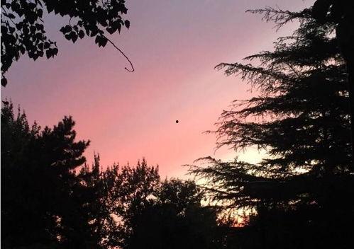 娱乐吃瓜酱白月光,揭秘白月光背后的故事