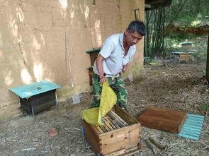 娱乐吃瓜酱贫困户,揭秘贫困户背后的真实故事