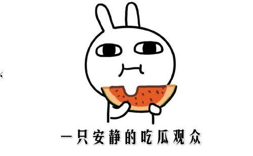 娱乐吃瓜酱自闭孙子,揭秘背后的感人故事