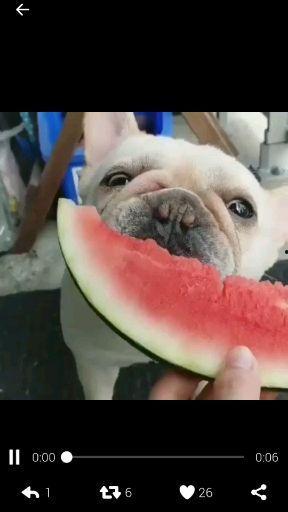 聊娱乐的吃瓜群众评价是什么,聊娱乐评价大揭秘