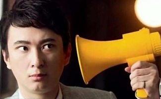 娱乐圈吃瓜爆料王琳凯,揭秘明星背后的故事