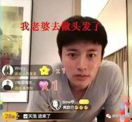 娱乐圈吃瓜电视剧有哪些,揭秘那些令人捧腹的吃瓜电视剧